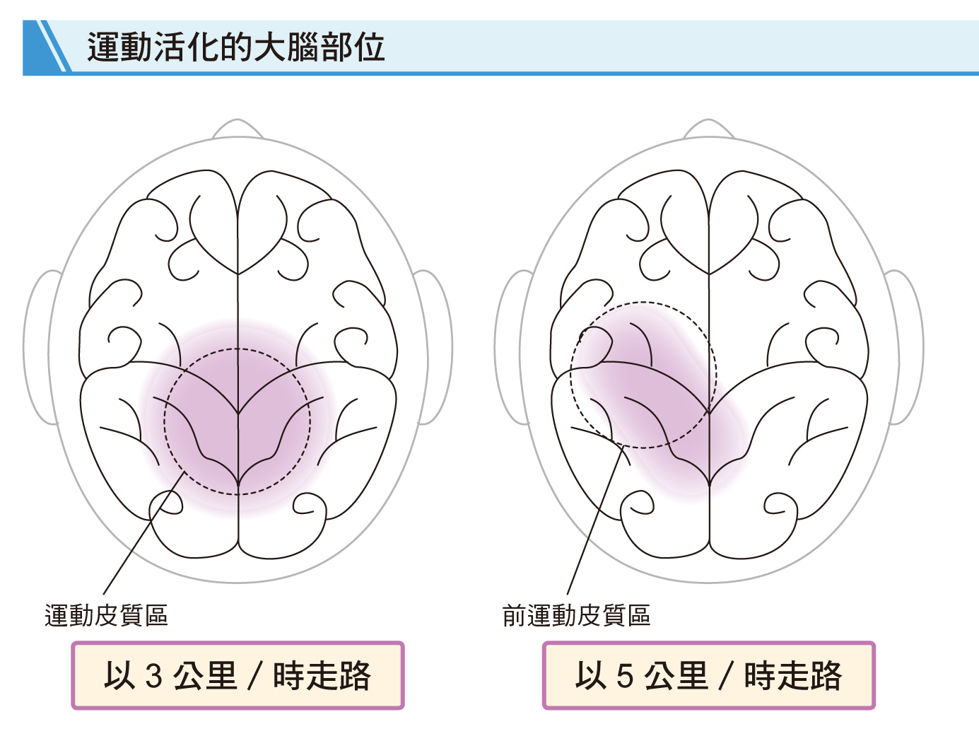 跑步訓練的科學