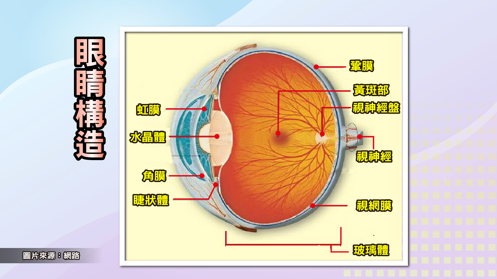 TVBS《健康2.0》