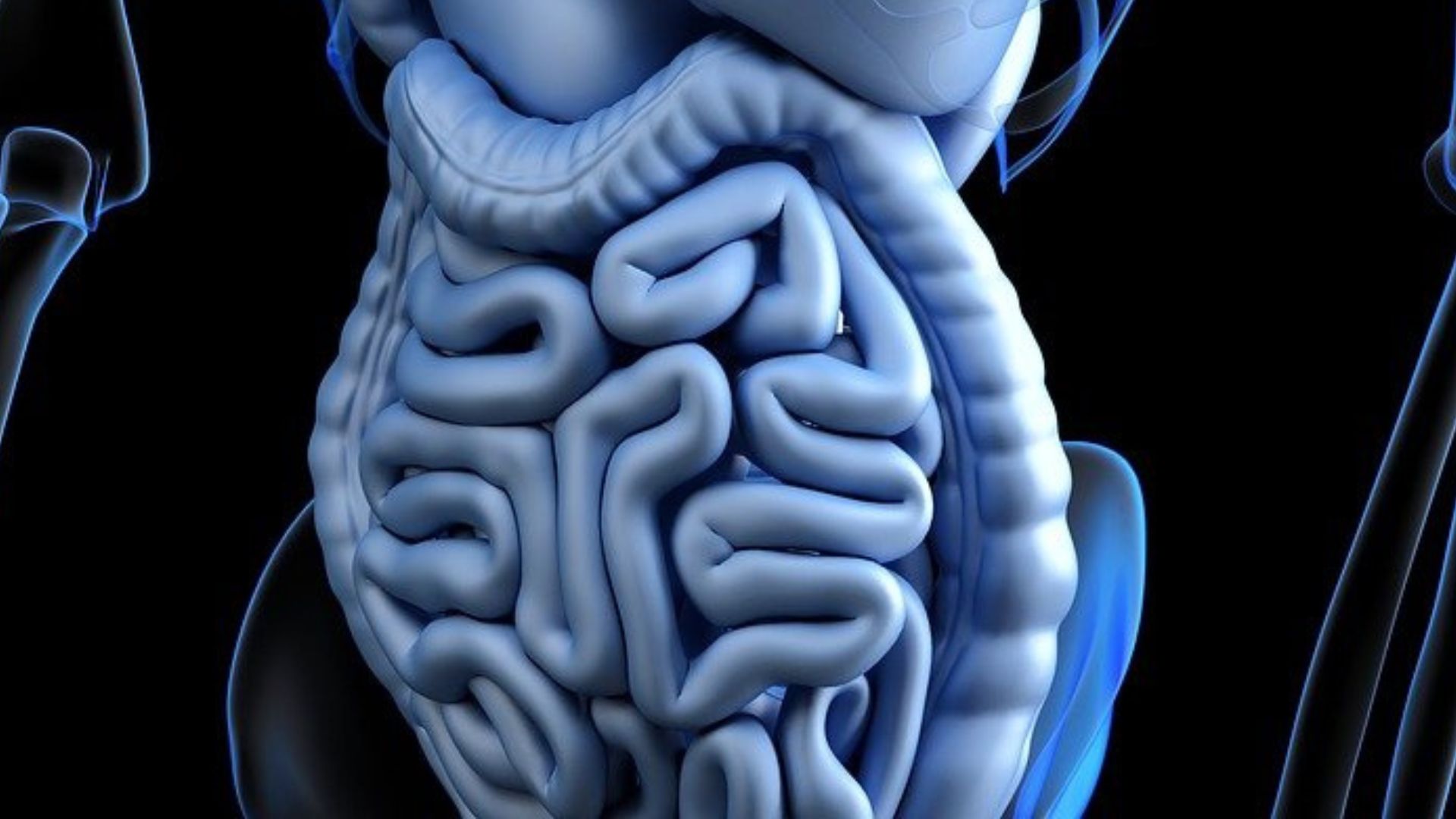 奇怪的健康冷知識　葡萄牙研究：「啤酒」有益男性腸道健康